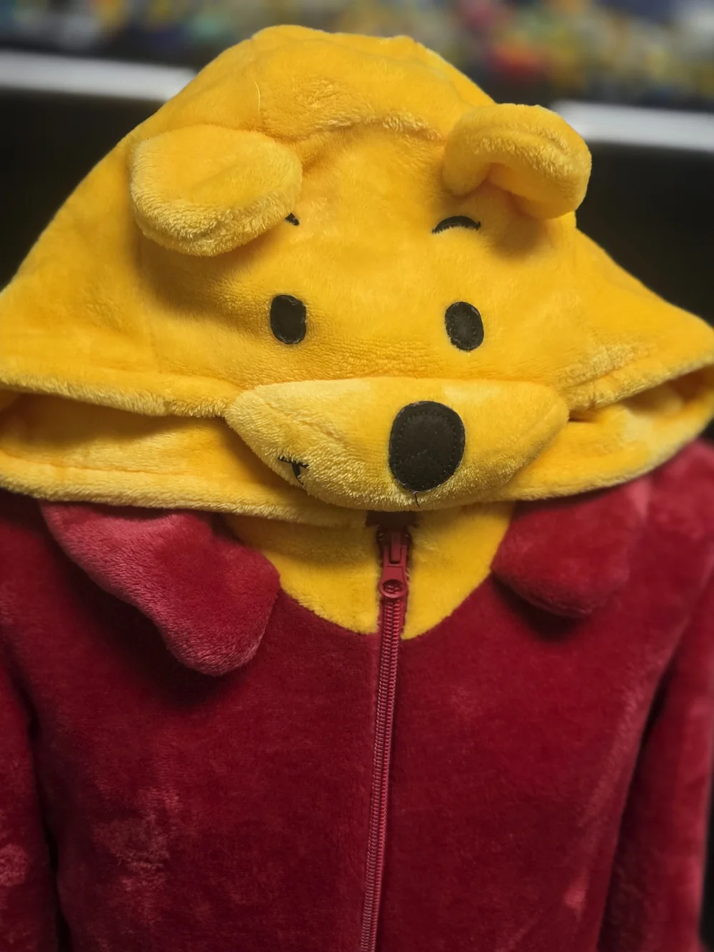 Disney Plush Winnie the Pooh Costume Hoodie and Pants in Yellow and Red
